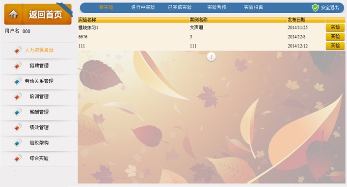 人力资源软件